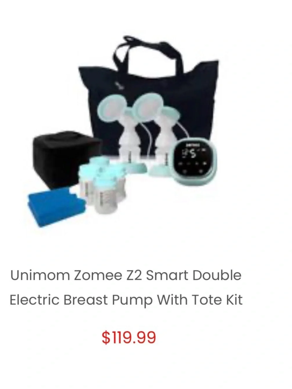 Portable Black Storage Tote with Mint Organizer Inserts